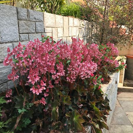 Robin Woods Homestay Sakleshpur Exterior foto