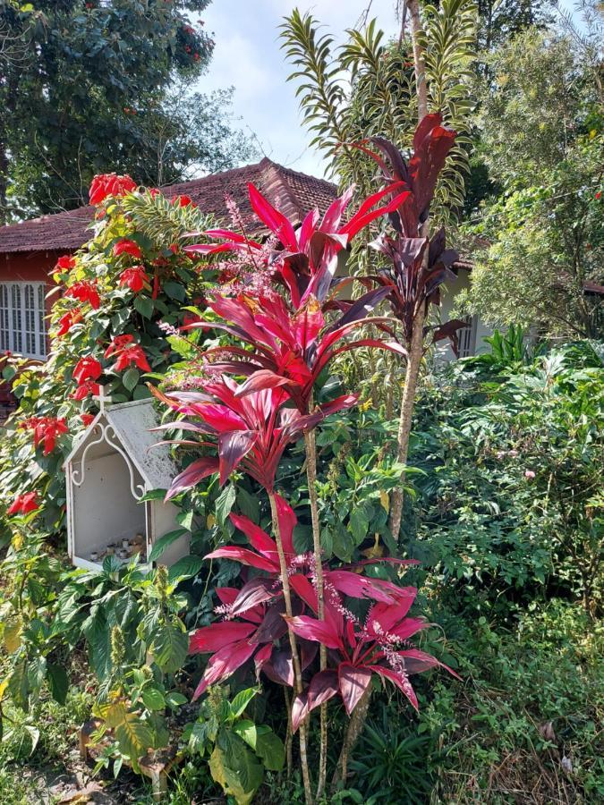 Robin Woods Homestay Sakleshpur Exterior foto