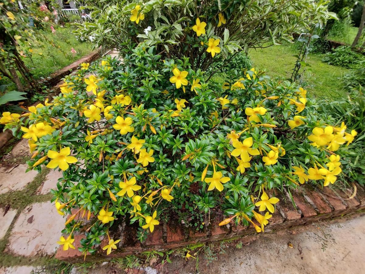 Robin Woods Homestay Sakleshpur Exterior foto