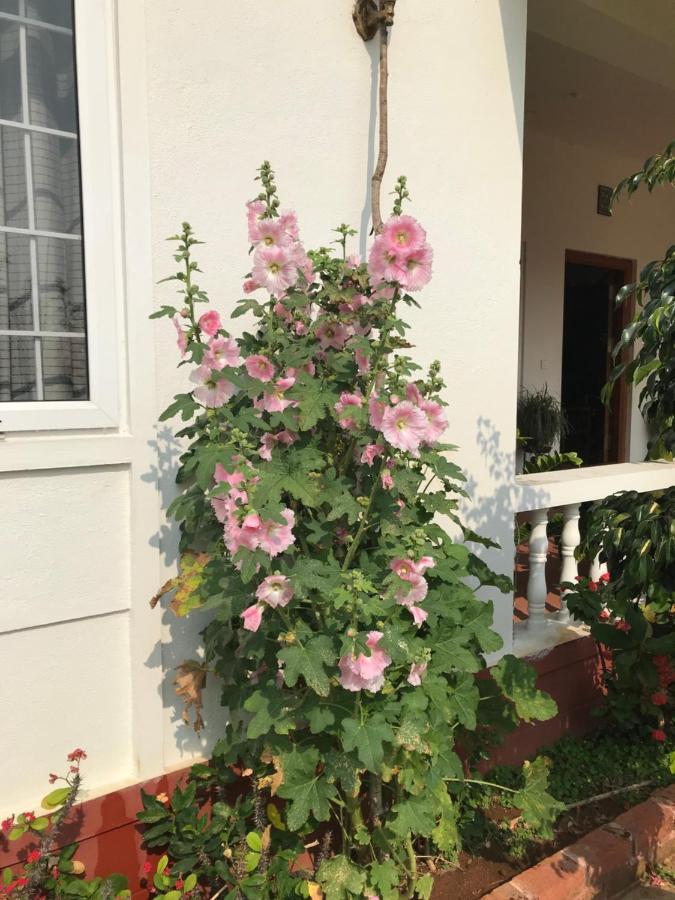 Robin Woods Homestay Sakleshpur Exterior foto