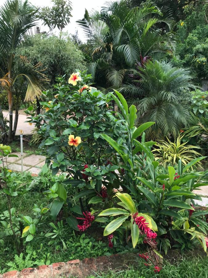 Robin Woods Homestay Sakleshpur Exterior foto