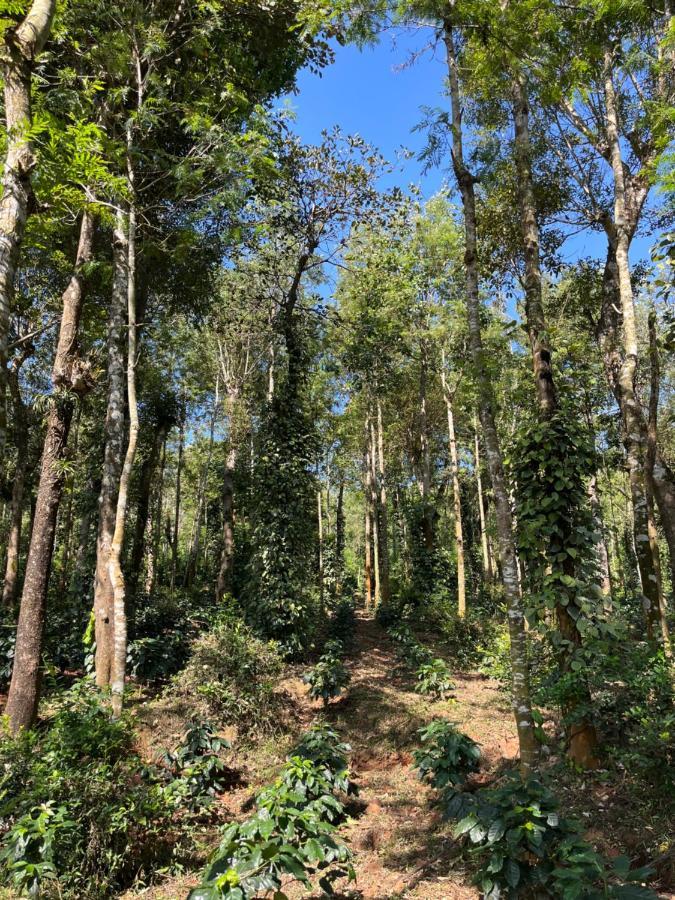 Robin Woods Homestay Sakleshpur Exterior foto